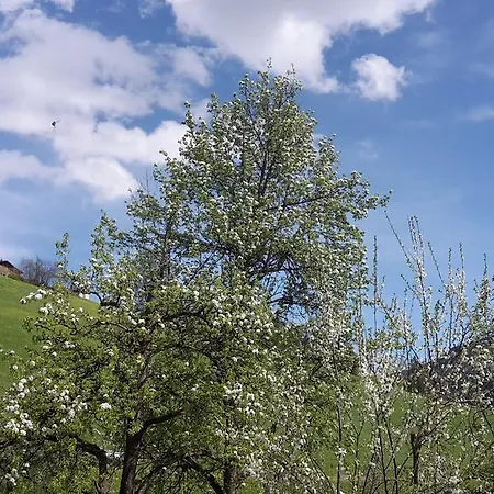 Blaserhof Κατάλυμα σε φάρμα Gerlosberg