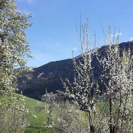 Blaserhof Gerlosberg
